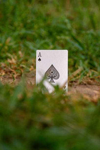 Pourquoi Le Meilleur Casino En Ligne France Est Tant Recherché